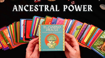 El Camino Oracle Review — A Bold Cultural Journey