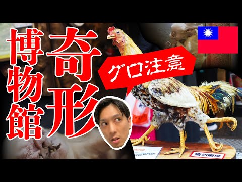 [Taiwan Museum] Viewer discretion advised! Too gruesome? A must-see for fans of B-movie spots? I ...