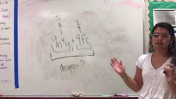 Integrated Math 3 | Degrees of Polynomials