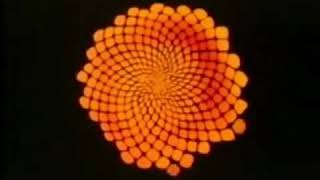 obfuse-palm