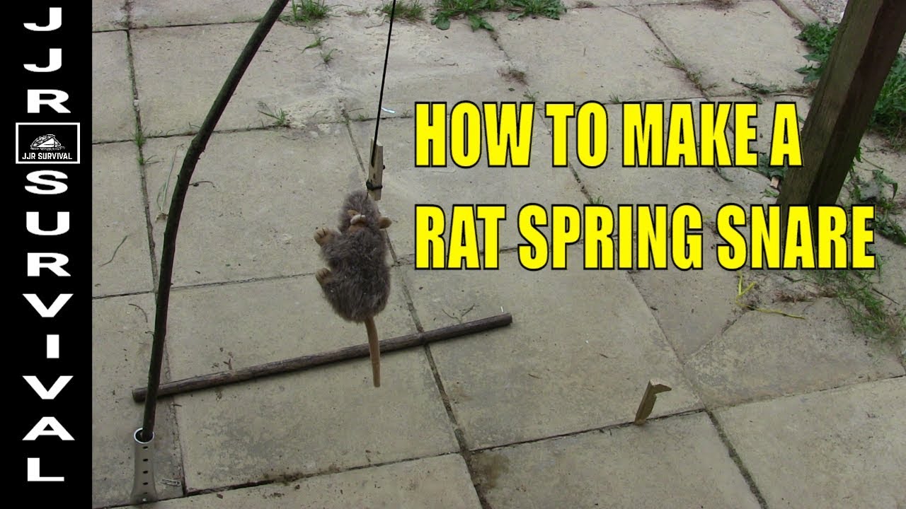 HOW TO MAKE A SPRING SNARE RAT TRAP 