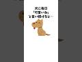 犬に毎日「可愛いね」と言い続けると…　#犬 #ペット #雑学