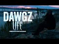 Dawgz life full trailer