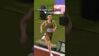 Jakob Ingebrigtsen wins 1500m | Diamond League ????????