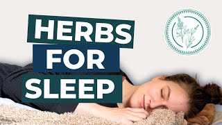 Herbs For SLEEP (and a sleepy tea recipe) by Herbalist Kristen 7,795 views 1 year ago 14 minutes, 48 seconds