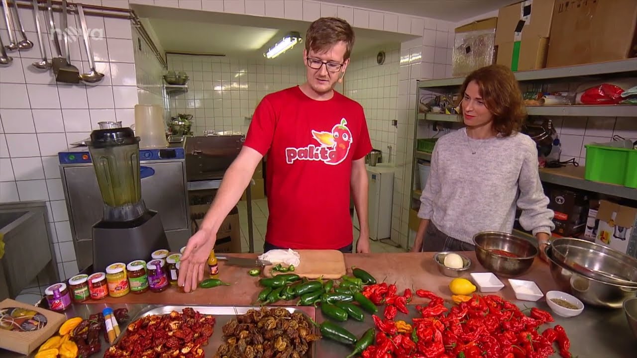 Jak sklízet a zpracovávat chilli papričky