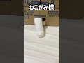 1円玉が取れなすぎて、現実逃避するねこがみ様【#Shorts】