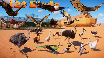 120 vogels ontsnappen uit de volière naar de ark van Noach. Dierenrace in Planet Zoo inclusief st...