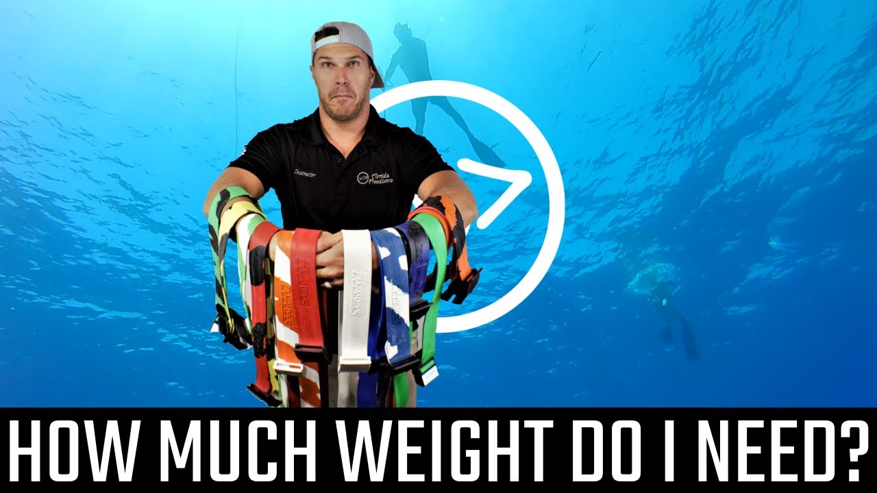How Much Weight Do I Need? - Florida Freedivers