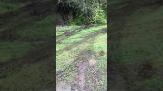 Mercedes-Benz 2228 Crane  Truck going off road in wet grass and mud . Cross Diff Locks activated