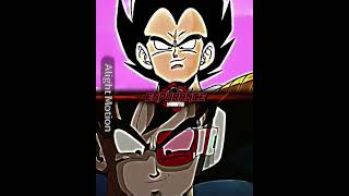 Turles Vegetasaiyan Saga