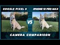 Google Pixel 5 vs iPhone 12 Pro Max Camera Comparison