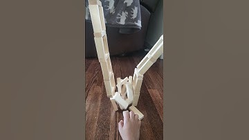 What will happen if you make the Splitting Towers domino trick and you put it on only one side?🤔🧐