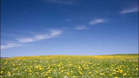 تلاوة خاشعة القارئ محمد البراك