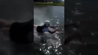 Watch Till the End – Unexpected Fail 🤣