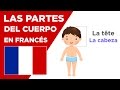 Francés básico - Lección #6 - Las partes del cuerpo