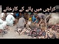 Paye Factory In Karachi Paye kis tarah tayar hotay hain Cow &amp; Goat Paye