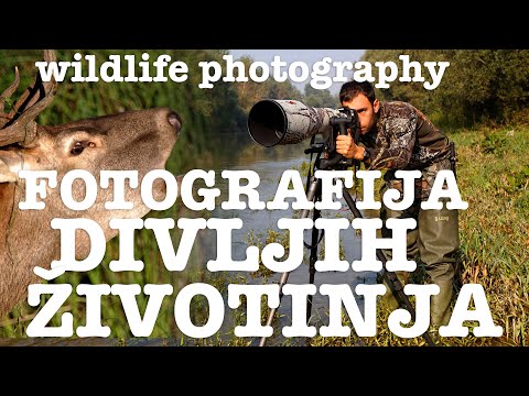 Video: Kako Fotografirati Z Učinki