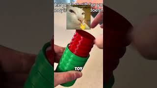 The best gift #shorts #memes