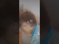 روحي نتحسبو لي بيني وبينك مت