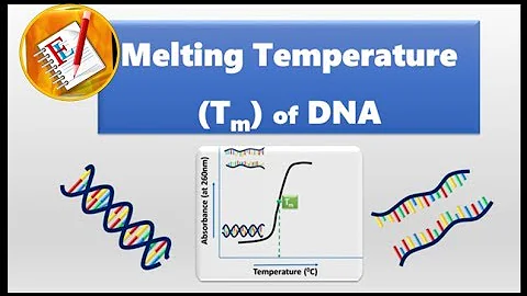 Melting Temperature of DNA (Tm)