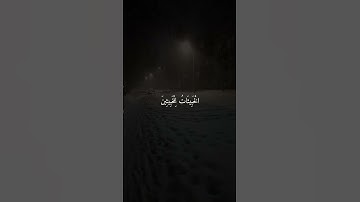 ماهر المعيقلي تلاوة خاشعة || تلاوة قصيرة رائعة 🤍😍