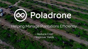 Oil Palm Mapping in 3 simple steps