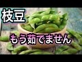 【枝豆は緑黄色野菜】茹でるより簡単！美味しくて健康効果がアップする方法