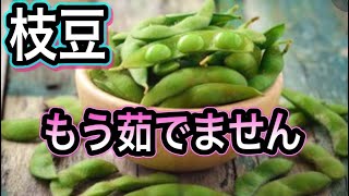 【枝豆は緑黄色野菜】茹でるより簡単！美味しくて健康効果がアップする方法