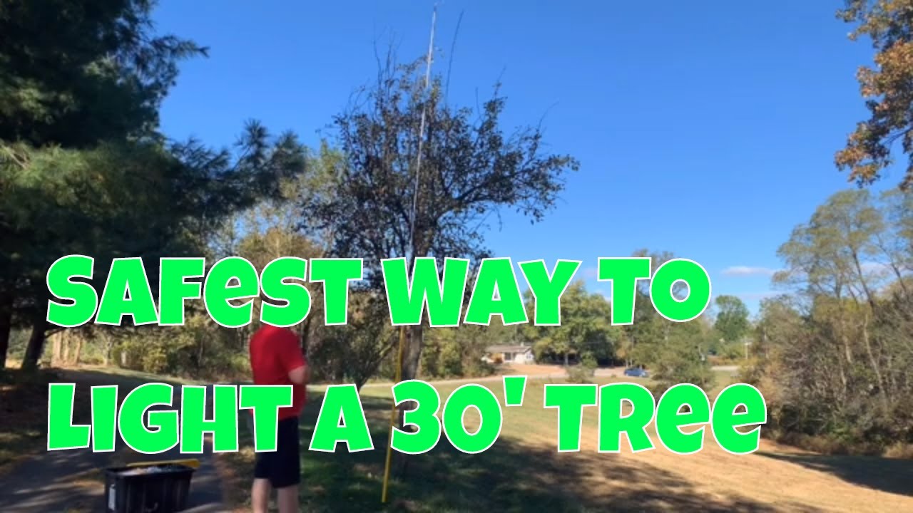 The Best And Safest Way To Hang Christmas Lights In A 30' Tree - YouTube