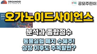 [공모주] 오가노이드사이언스 분석과 종합점수 - 동물실험 폐지 수혜주! 상장 이후도 주목할만?