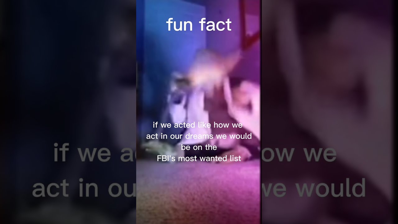 Fun Fact Of The Day YouTube Fun Fact Of The Day YouTube