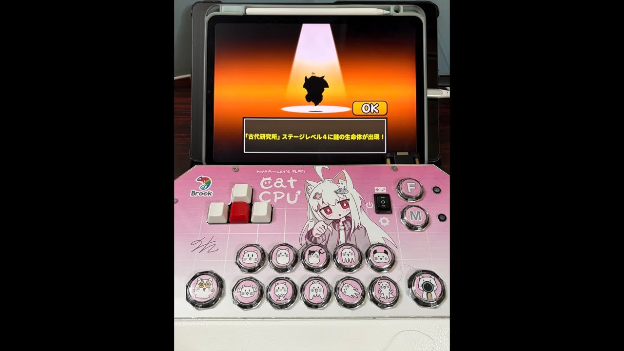 【Richard愛貓戰】貓咪大戰爭 日版   捕捉 異弟