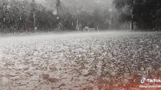 Rain whatsApp status. |Chlte Chlte mujhe koi mil gya tha|By Pakeeza AS | Rain whatsApp status. |Chlte Chlte mujhe koi mil gya tha|By Pakeeza AS |