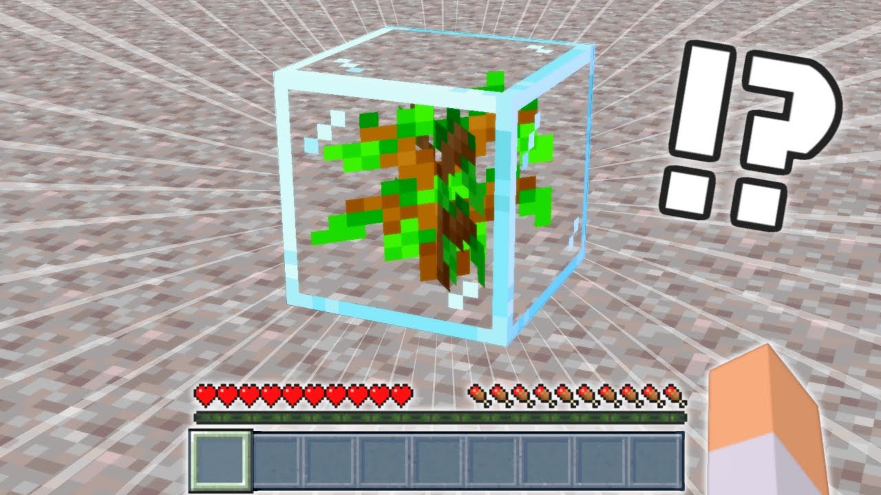 マイクラ 10 ネコとの出会い 海を越える男たち Minecraft 的youtube视频效果分析报告 Noxinfluencer