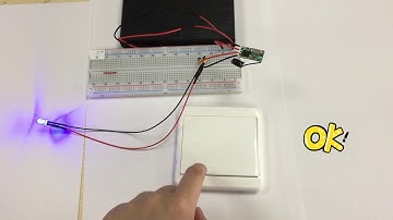 433Mhz Wireless RF Wall Panel Transmitter and AC 12V 24V 1 Channel Remote Control Switch Receiver