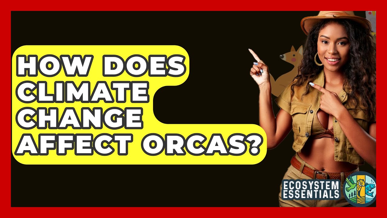 How Does Climate Change Affect Orcas? - Ecosystem Essentials