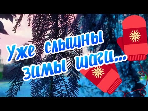 Видео: Шаги, которые все аляскинцы предпринимают в преддверии зимы