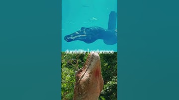 Accurate Trex vs accurate Spinosurus #edits #dinosaurs #debate #tyrannosaurusrex #spinosaurus