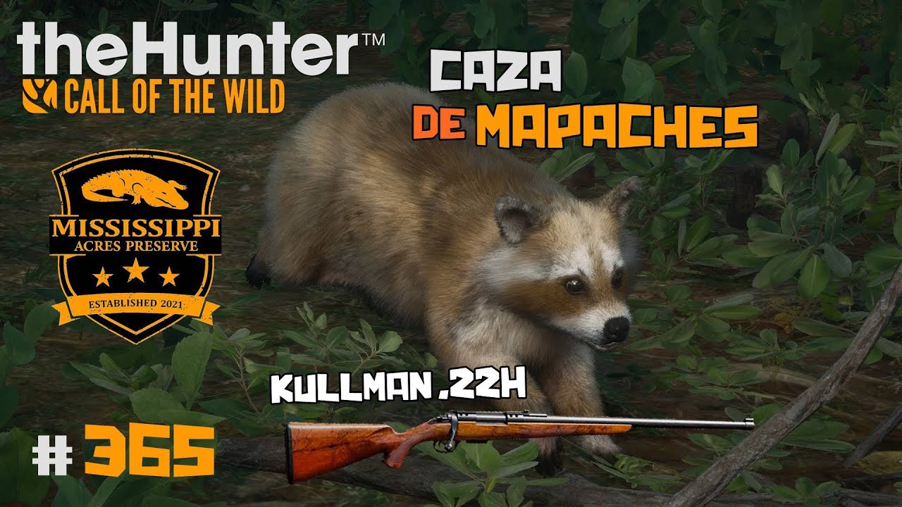 🦌theHunter Call of the Wild 365 🦝CAZA DE MAPACHES CON EL NUEVO RIFLE