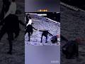 So Cute Jimin V Lakdi Ki Kathi Bts Shorts JeonBoyBTS 