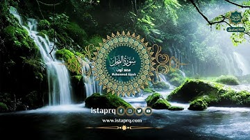 سورة النحل - محمد أيوب | Surat- Al-Nahl  - Mohamed Ayyub (جوده عاليه -High Quality)