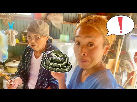 師匠にマムシを食べさせてもらったら驚きの味だった！ 田舎暮らし 鬼嫁とボクの日常