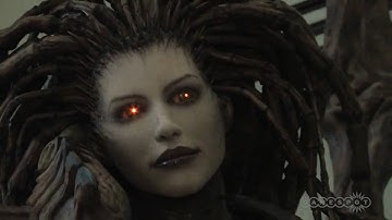 Starcraft II  Heart of the Swarm (PC) - interview