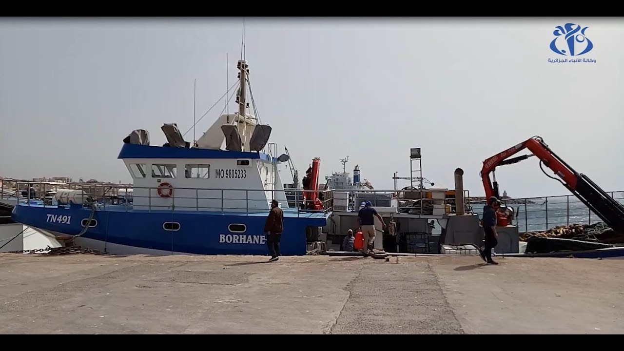 مستغانم: إبحار سفينتين للمشاركة في الحملة الدولية لصيد التونة