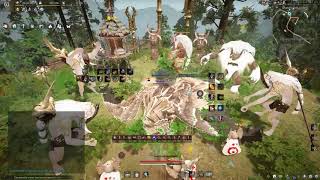 BDO Manshaum Rotation Sample | Valk