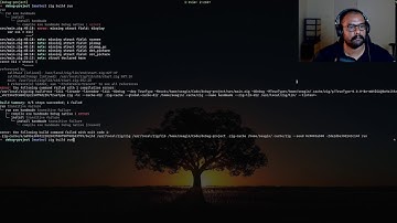 Building a debugger With Zig For Zig | Improving frame rate and cleaning up Render