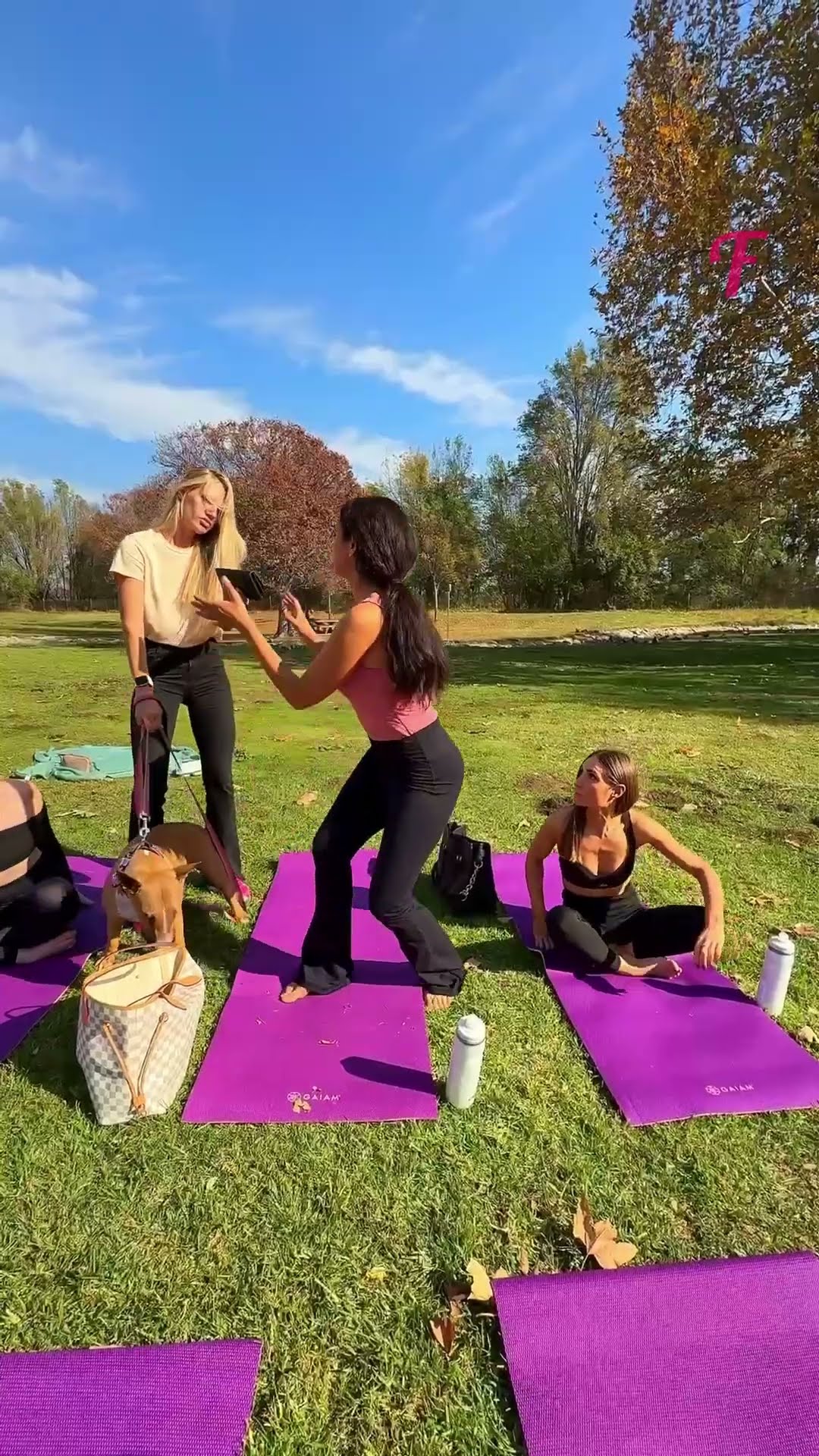 Yoga Session Turns Into a Rescue Mission #shorts
