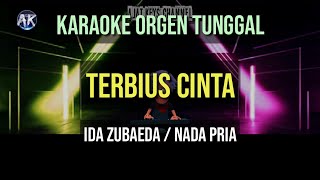 TERBIUS CINTA - NADA PRIA / IDA ZUBAEDA / KARAOKE ORGEN TUNGGAL