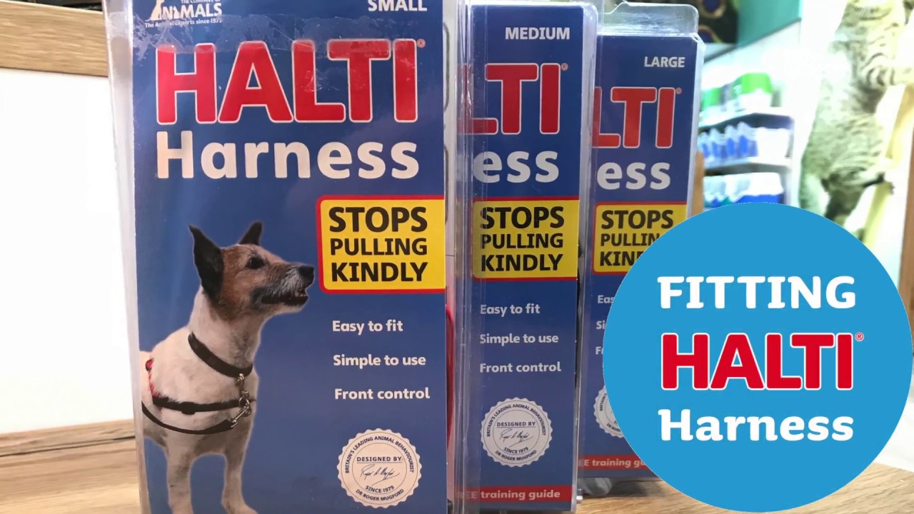 halti front control harness
